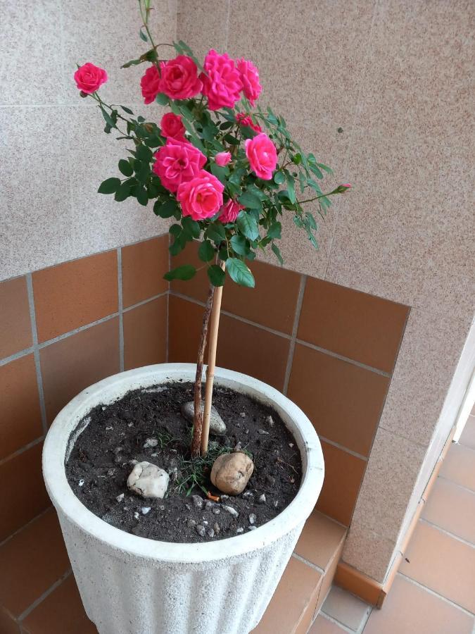 Boa Vista Lägenhet Combarro Exteriör bild